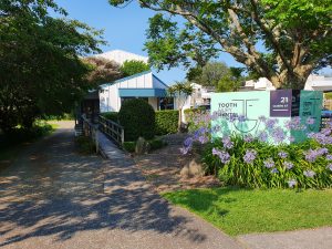 Tooth Fairy Dental Queen Street Te Puke